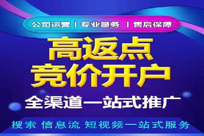 百度竞价公司案例分析：提升转化率的策略